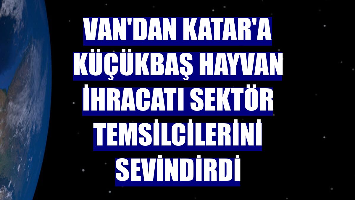 Van'dan Katar'a küçükbaş hayvan ihracatı sektör temsilcilerini sevindirdi