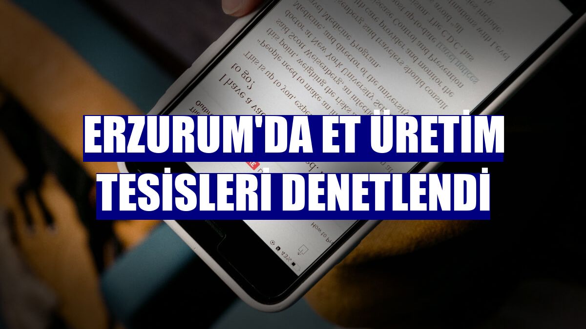 Erzurum'da et üretim tesisleri denetlendi