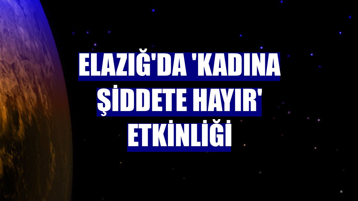 Elazığ'da 'Kadına Şiddete Hayır' etkinliği