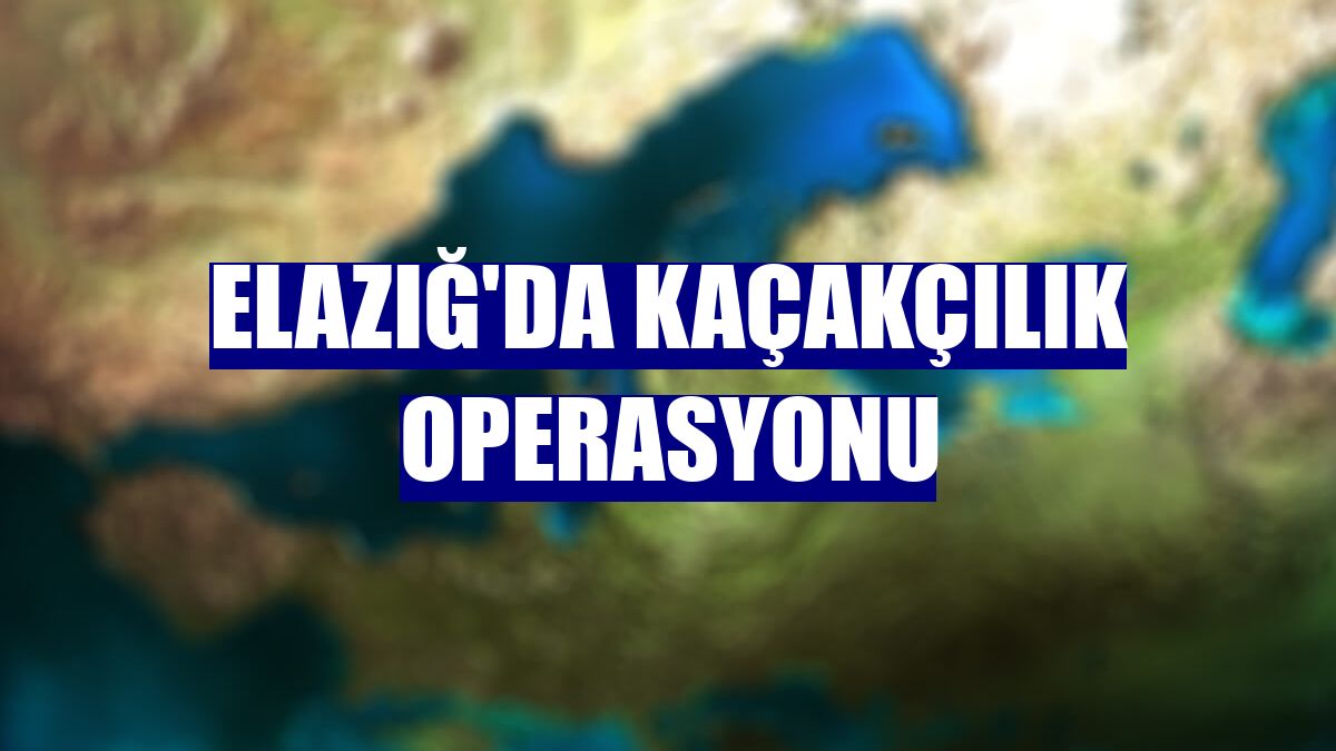 Elazığ'da kaçakçılık operasyonu