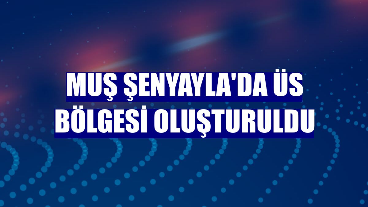 Muş Şenyayla'da üs bölgesi oluşturuldu