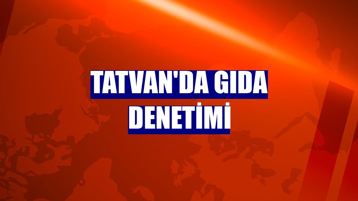 Tatvan'da gıda denetimi
