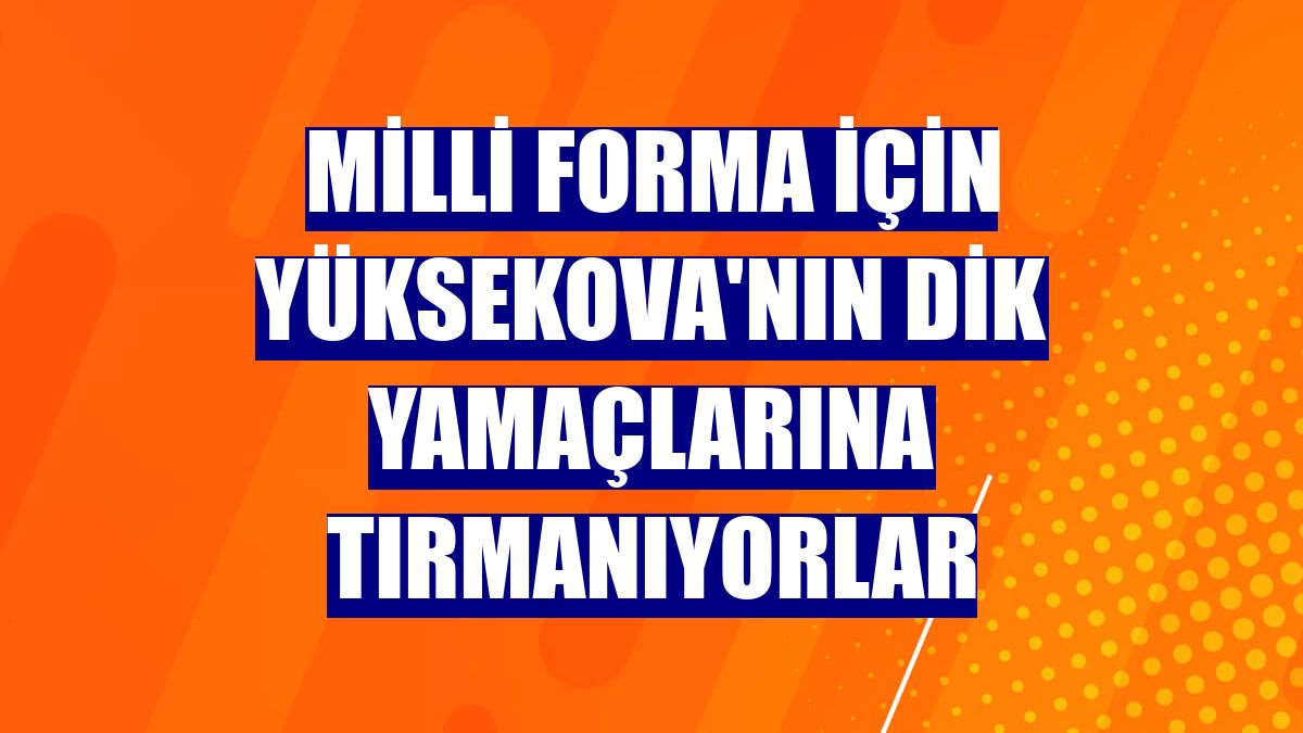 Milli forma için Yüksekova'nın dik yamaçlarına tırmanıyorlar