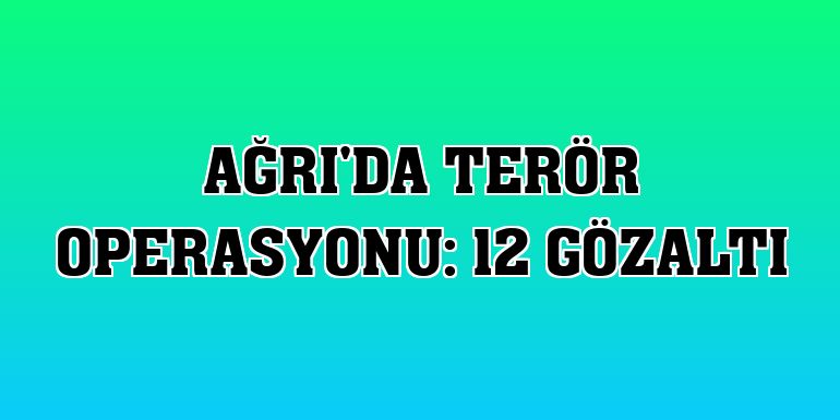 Ağrı'da terör operasyonu: 12 gözaltı