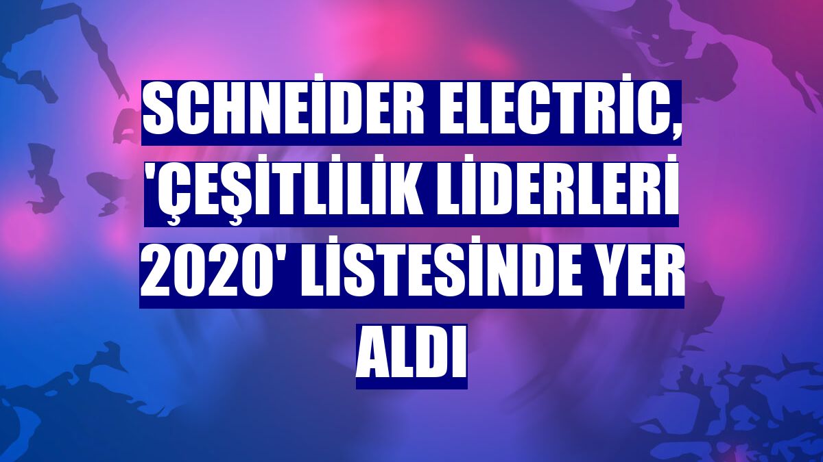 Schneider Electric, 'Çeşitlilik Liderleri 2020' listesinde yer aldı