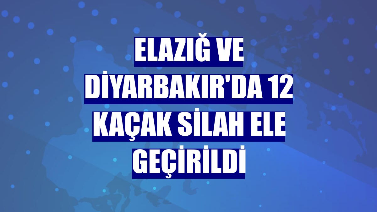 Elazığ ve Diyarbakır'da 12 kaçak silah ele geçirildi