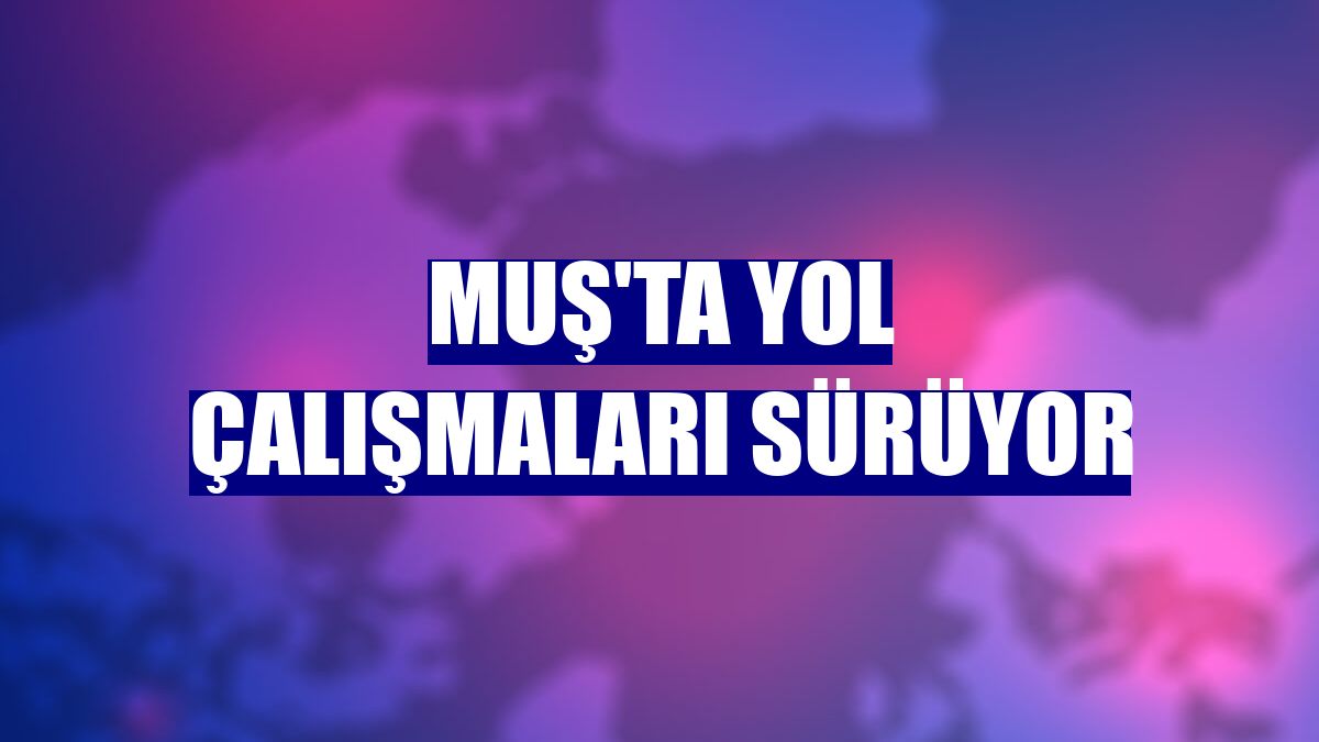 Muş'ta yol çalışmaları sürüyor