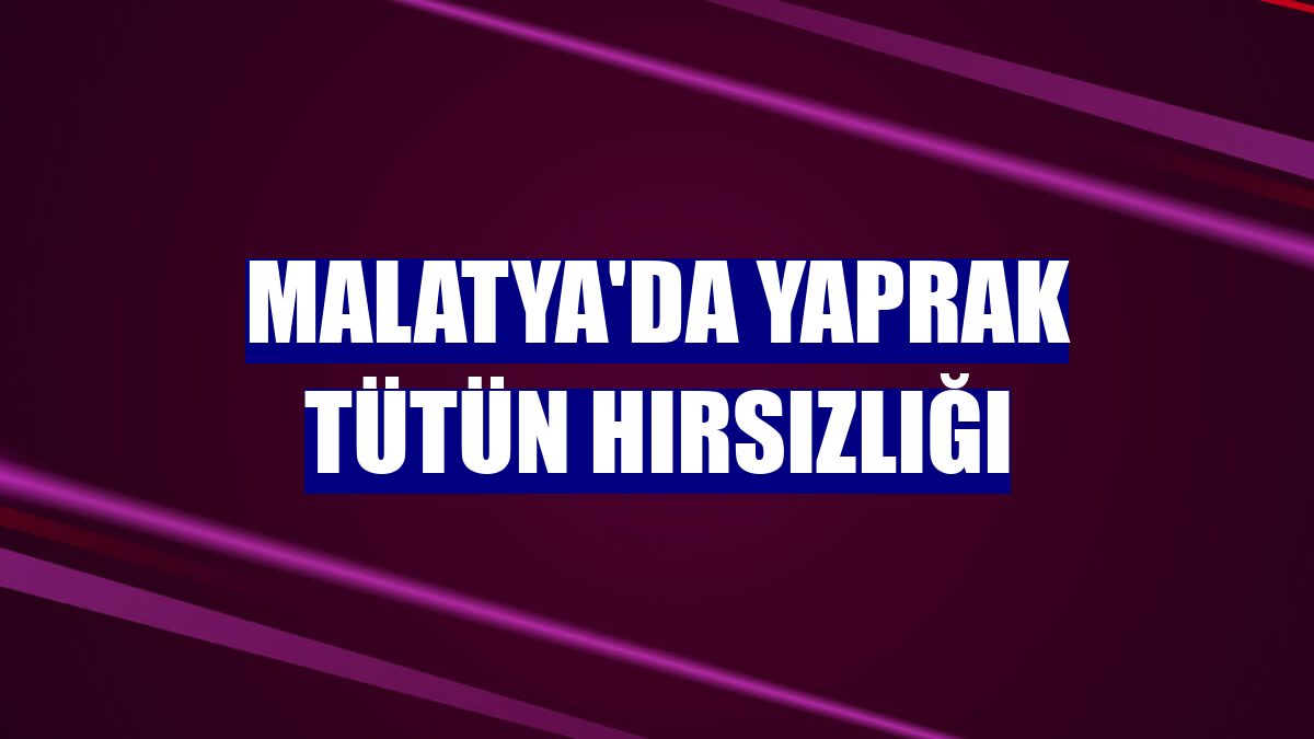 Malatya'da yaprak tütün hırsızlığı