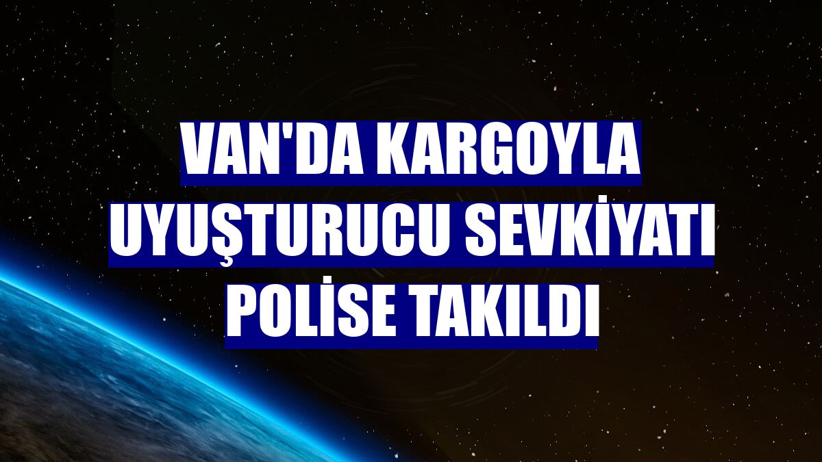 Van'da kargoyla uyuşturucu sevkiyatı polise takıldı