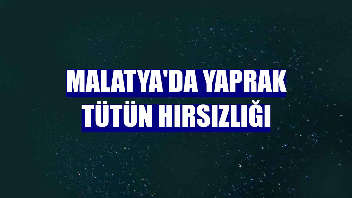 Malatya'da yaprak tütün hırsızlığı
