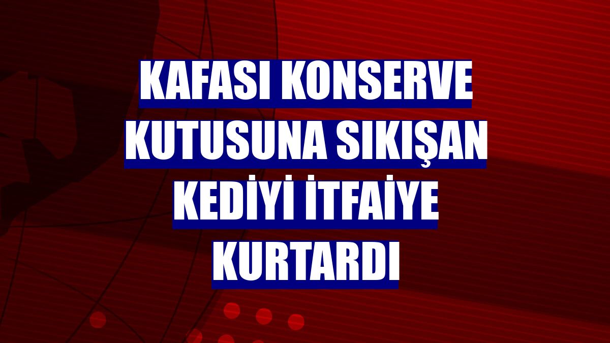 Kafası konserve kutusuna sıkışan kediyi itfaiye kurtardı