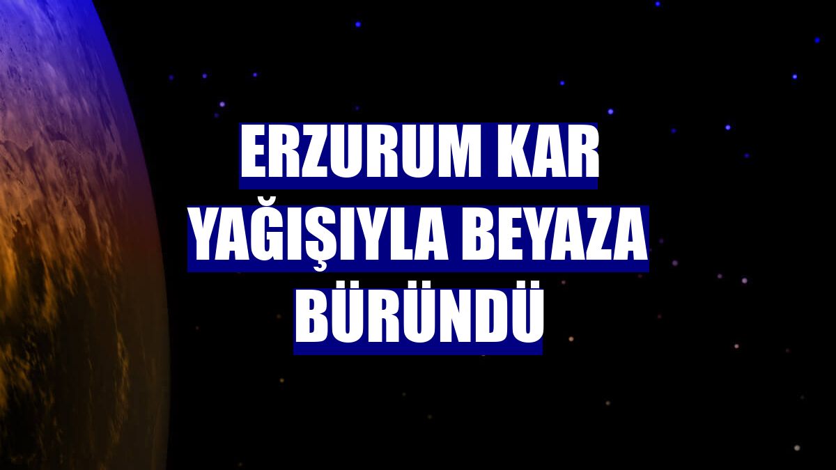 Erzurum kar yağışıyla beyaza büründü