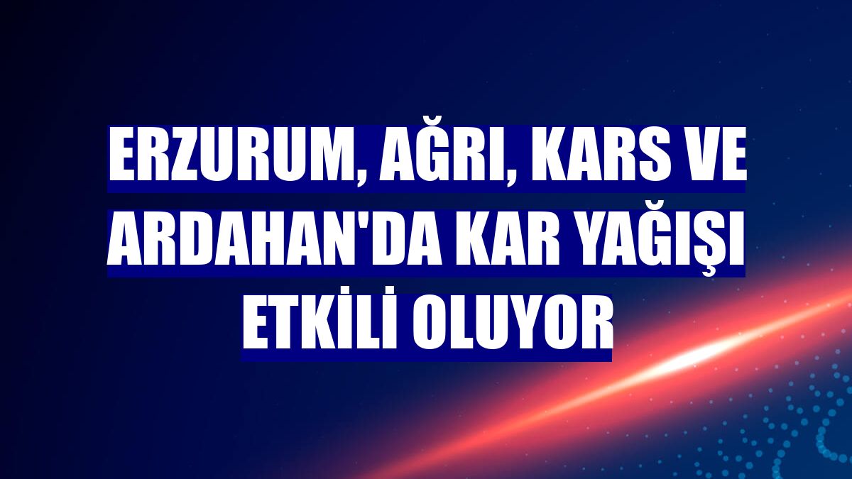 Erzurum, Ağrı, Kars ve Ardahan'da kar yağışı etkili oluyor