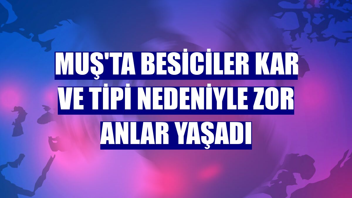 Muş'ta besiciler kar ve tipi nedeniyle zor anlar yaşadı