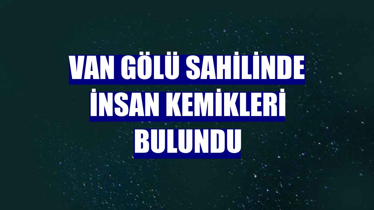 Van Gölü sahilinde insan kemikleri bulundu