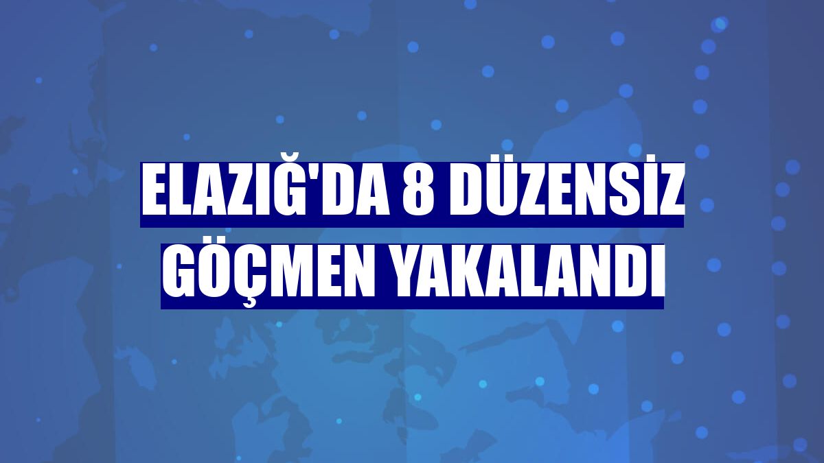 Elazığ'da 8 düzensiz göçmen yakalandı