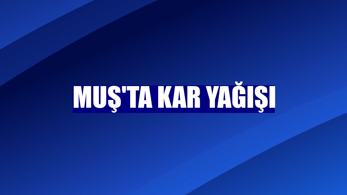 Muş'ta kar yağışı