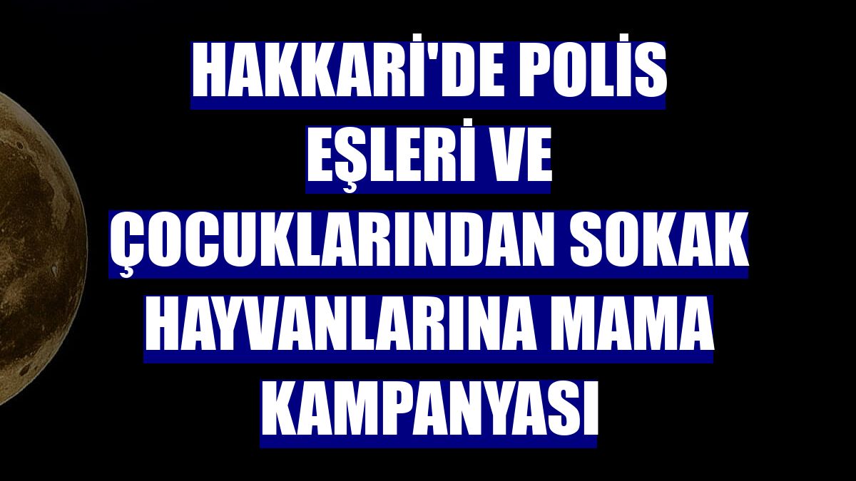 Hakkari'de polis eşleri ve çocuklarından sokak hayvanlarına mama kampanyası