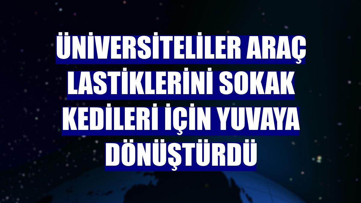 Üniversiteliler araç lastiklerini sokak kedileri için yuvaya dönüştürdü