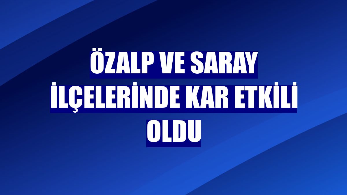 Özalp ve Saray ilçelerinde kar etkili oldu