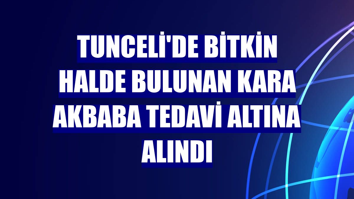 Tunceli'de bitkin halde bulunan kara akbaba tedavi altına alındı