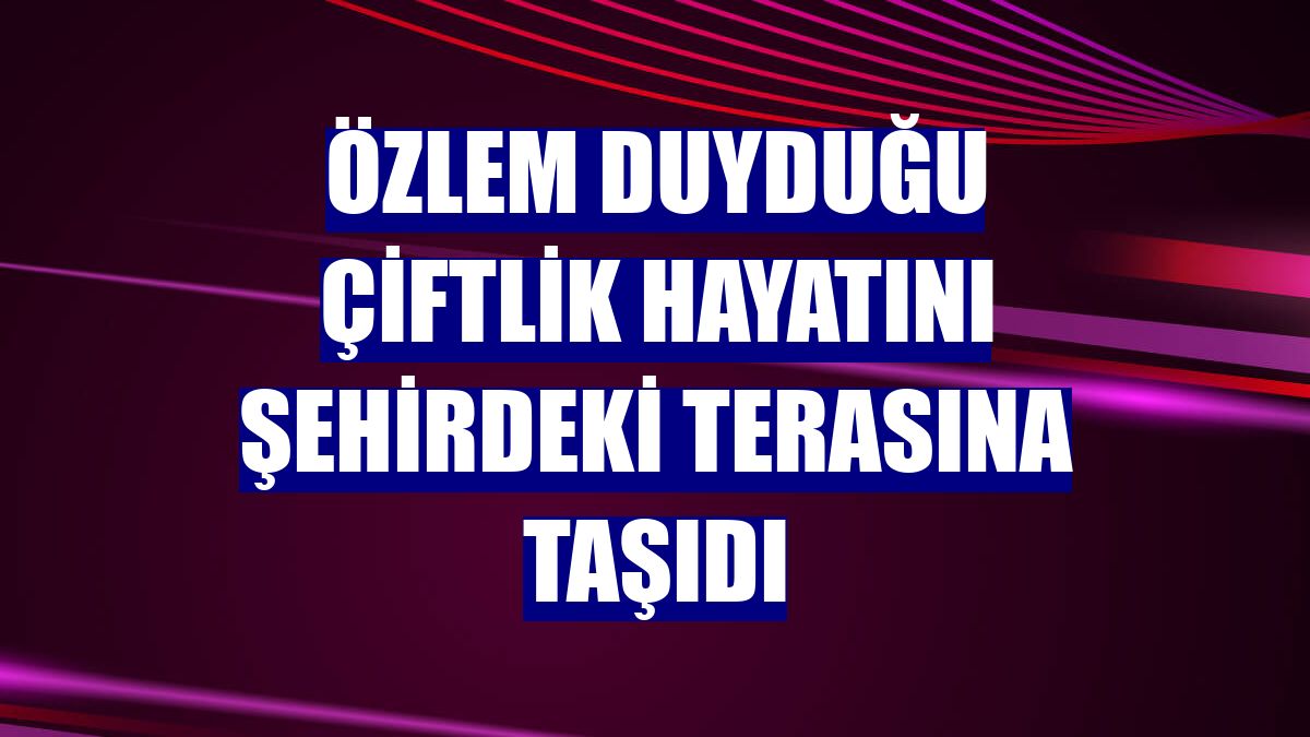 Özlem duyduğu çiftlik hayatını şehirdeki terasına taşıdı