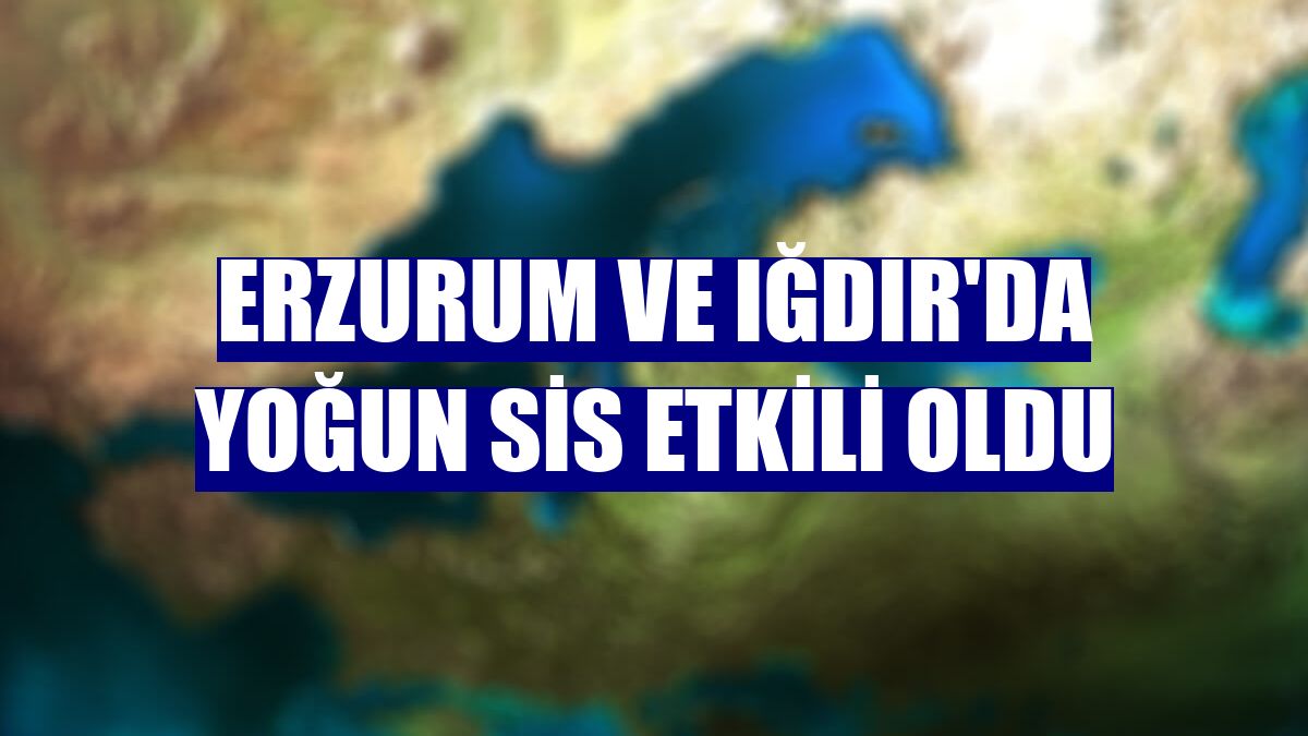 Erzurum ve Iğdır'da yoğun sis etkili oldu