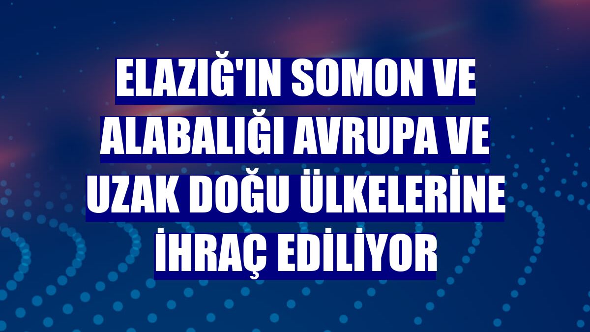Elazığ'ın somon ve alabalığı Avrupa ve Uzak Doğu ülkelerine ihraç ediliyor