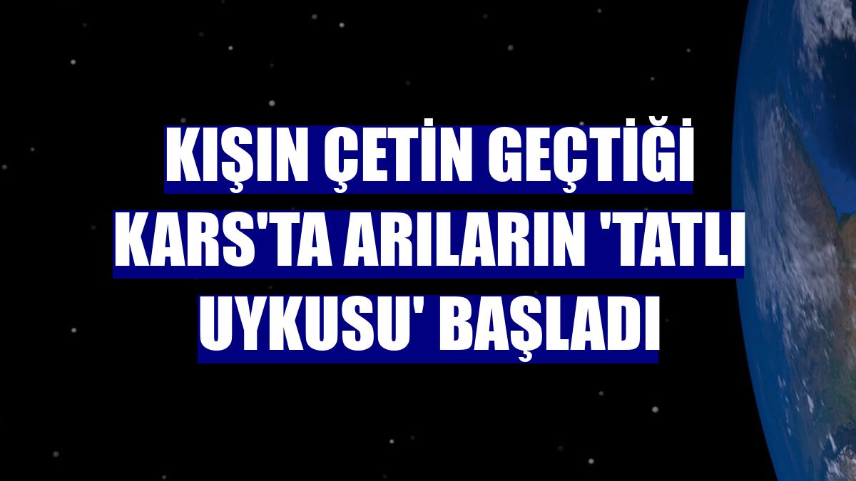 Kışın çetin geçtiği Kars'ta arıların 'tatlı uykusu' başladı