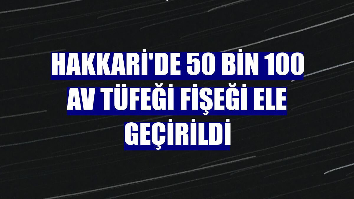 Hakkari'de 50 bin 100 av tüfeği fişeği ele geçirildi