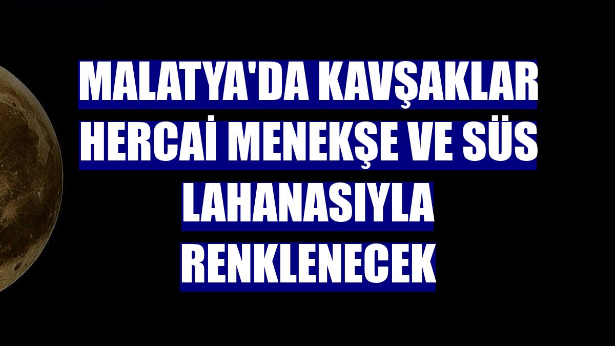 Malatya'da kavşaklar hercai menekşe ve süs lahanasıyla renklenecek