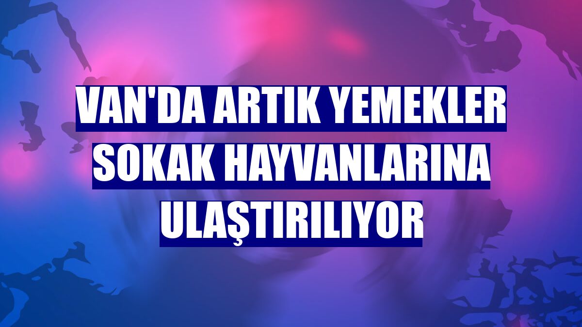 Van'da artık yemekler sokak hayvanlarına ulaştırılıyor
