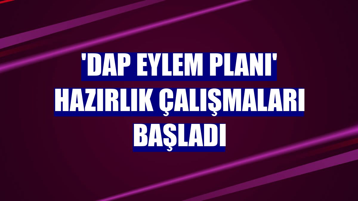 'DAP Eylem Planı' hazırlık çalışmaları başladı