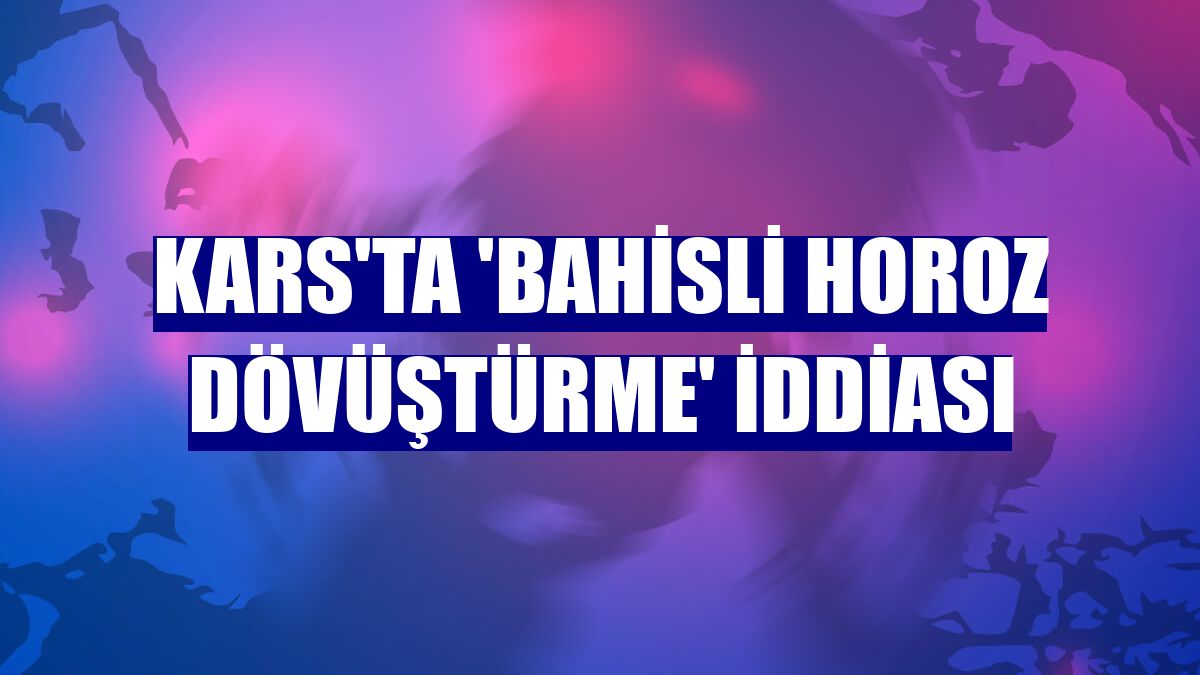 Kars'ta 'bahisli horoz dövüştürme' iddiası