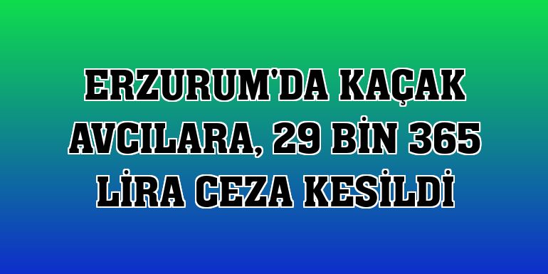 Erzurum'da kaçak avcılara, 29 bin 365 lira ceza kesildi