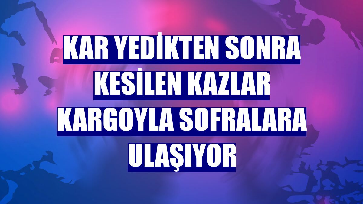 Kar yedikten sonra kesilen kazlar kargoyla sofralara ulaşıyor