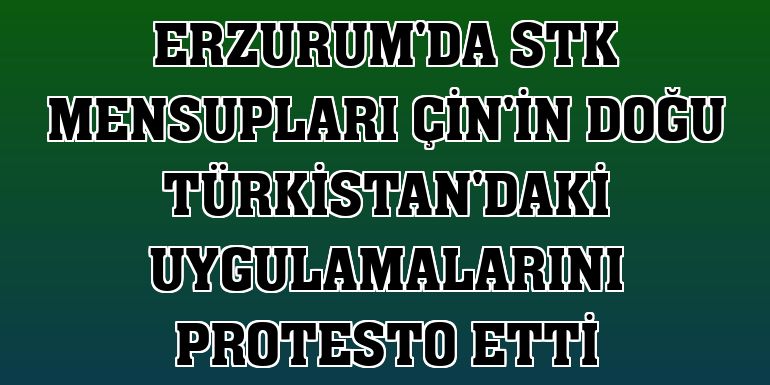Erzurum'da STK mensupları Çin'in Doğu Türkistan'daki uygulamalarını protesto etti
