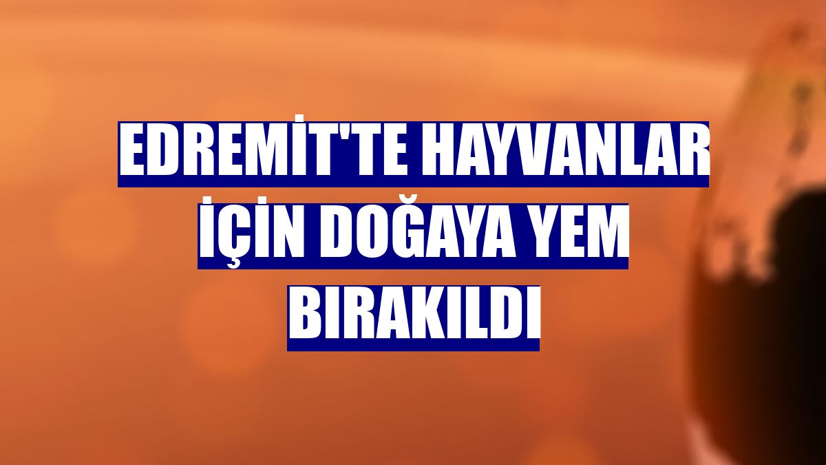 Edremit'te hayvanlar için doğaya yem bırakıldı