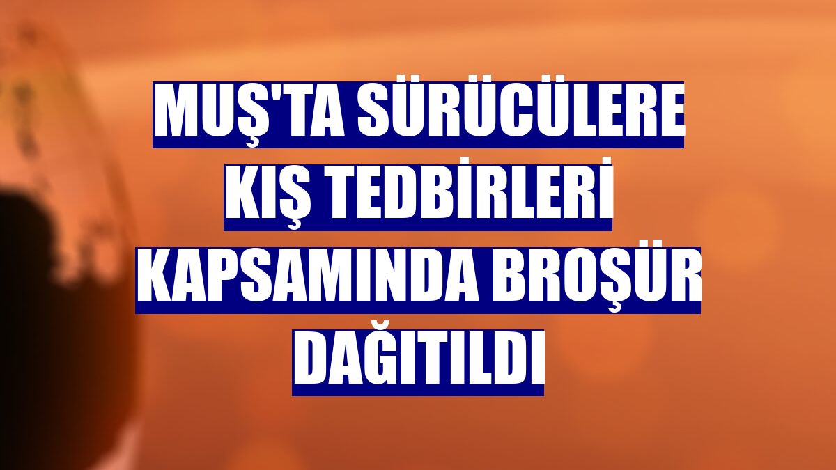Muş'ta sürücülere kış tedbirleri kapsamında broşür dağıtıldı