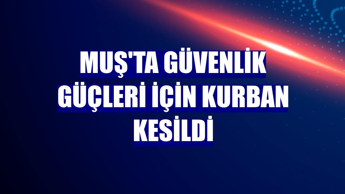 Muş'ta güvenlik güçleri için kurban kesildi