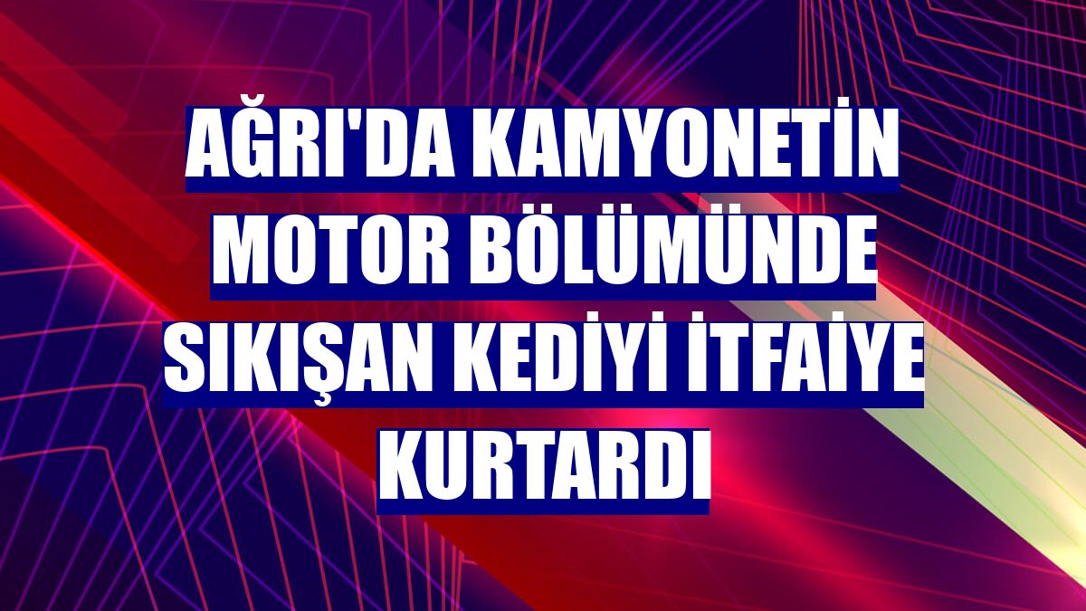 Ağrı'da kamyonetin motor bölümünde sıkışan kediyi itfaiye kurtardı