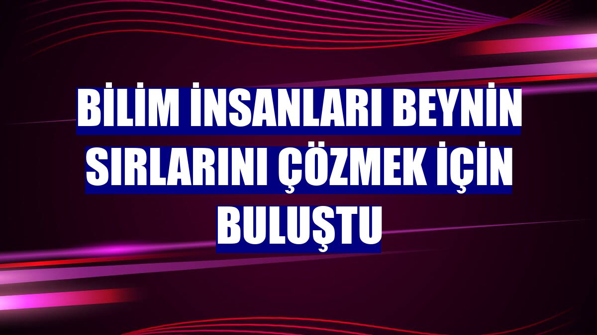 Bilim insanları beynin sırlarını çözmek için buluştu