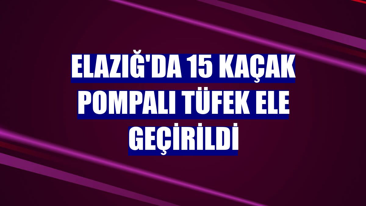Elazığ'da 15 kaçak pompalı tüfek ele geçirildi