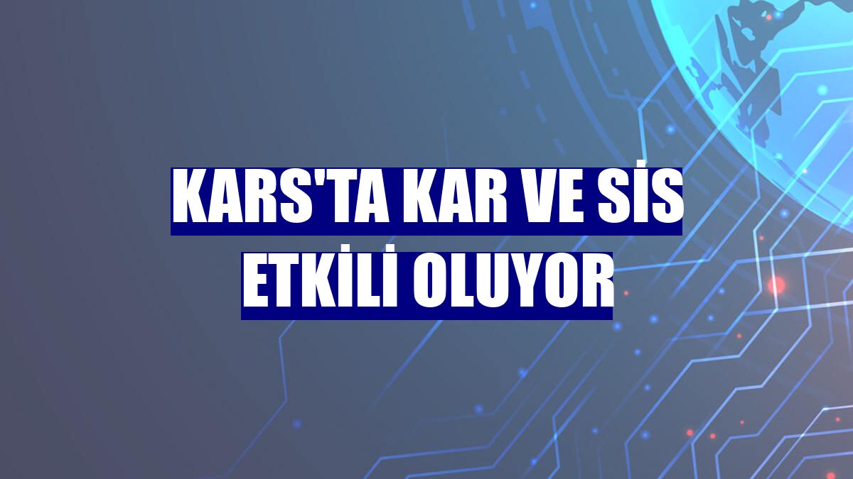 Kars'ta kar ve sis etkili oluyor