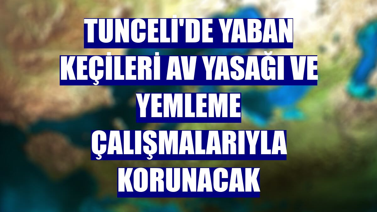 Tunceli'de yaban keçileri av yasağı ve yemleme çalışmalarıyla korunacak