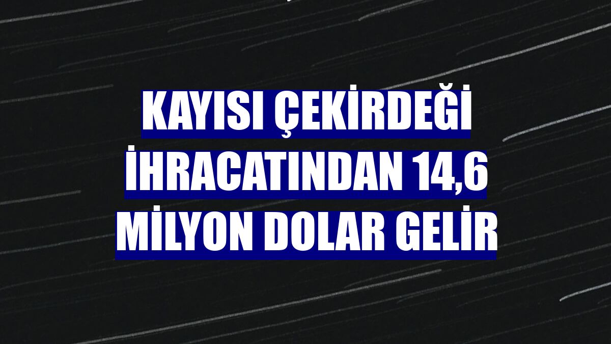 Kayısı çekirdeği ihracatından 14,6 milyon dolar gelir