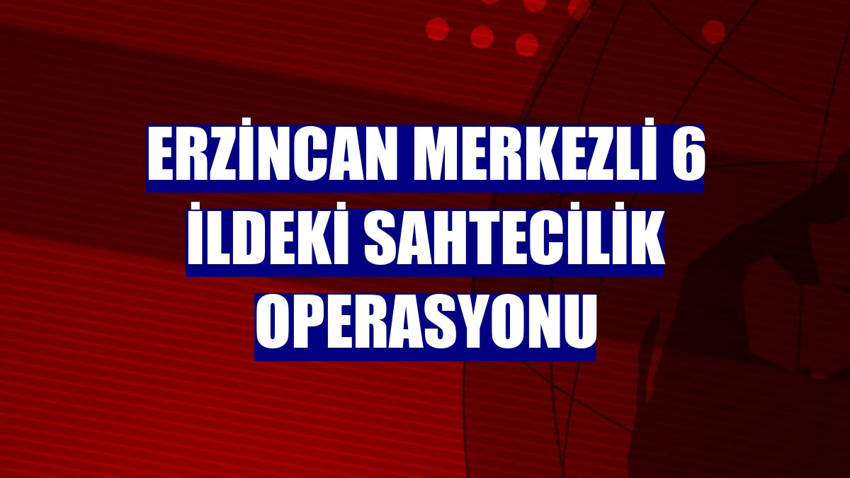 Erzincan merkezli 6 ildeki sahtecilik operasyonu