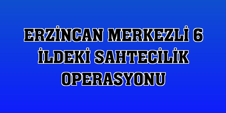 Erzincan merkezli 6 ildeki sahtecilik operasyonu