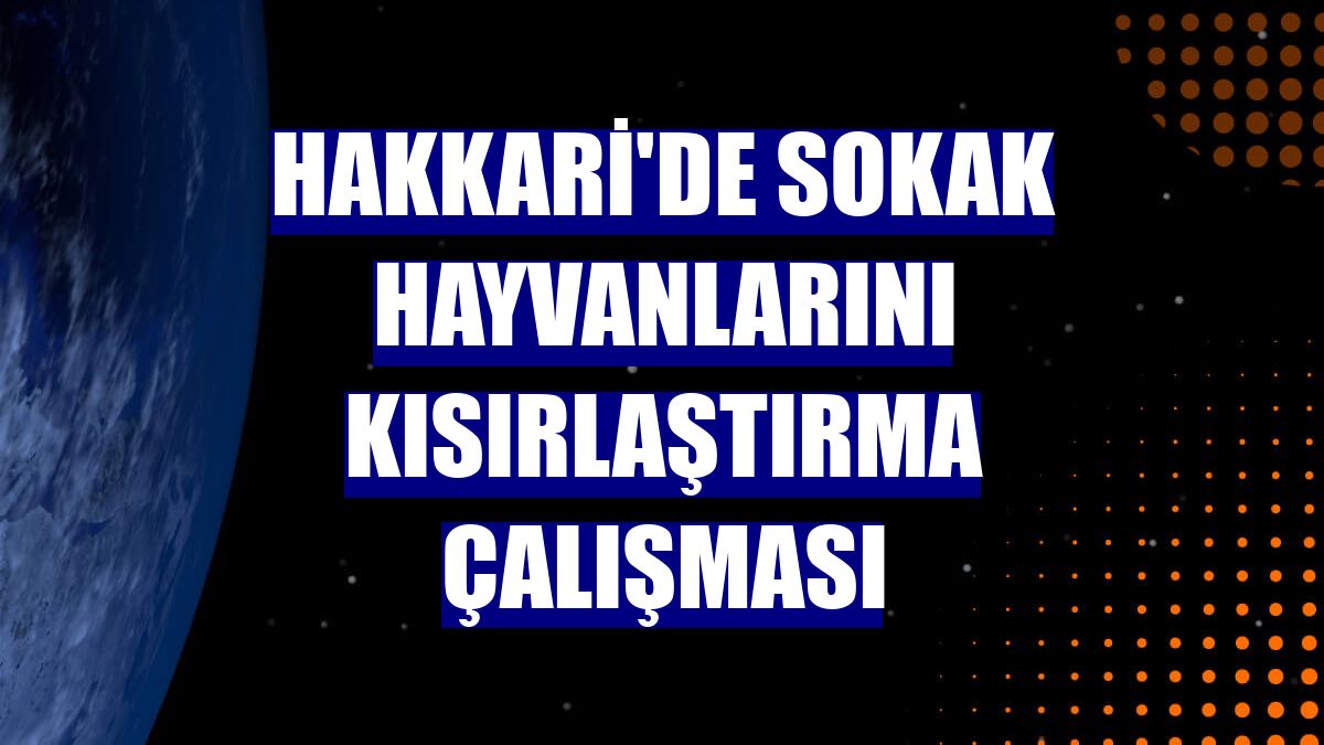 Hakkari'de sokak hayvanlarını kısırlaştırma çalışması
