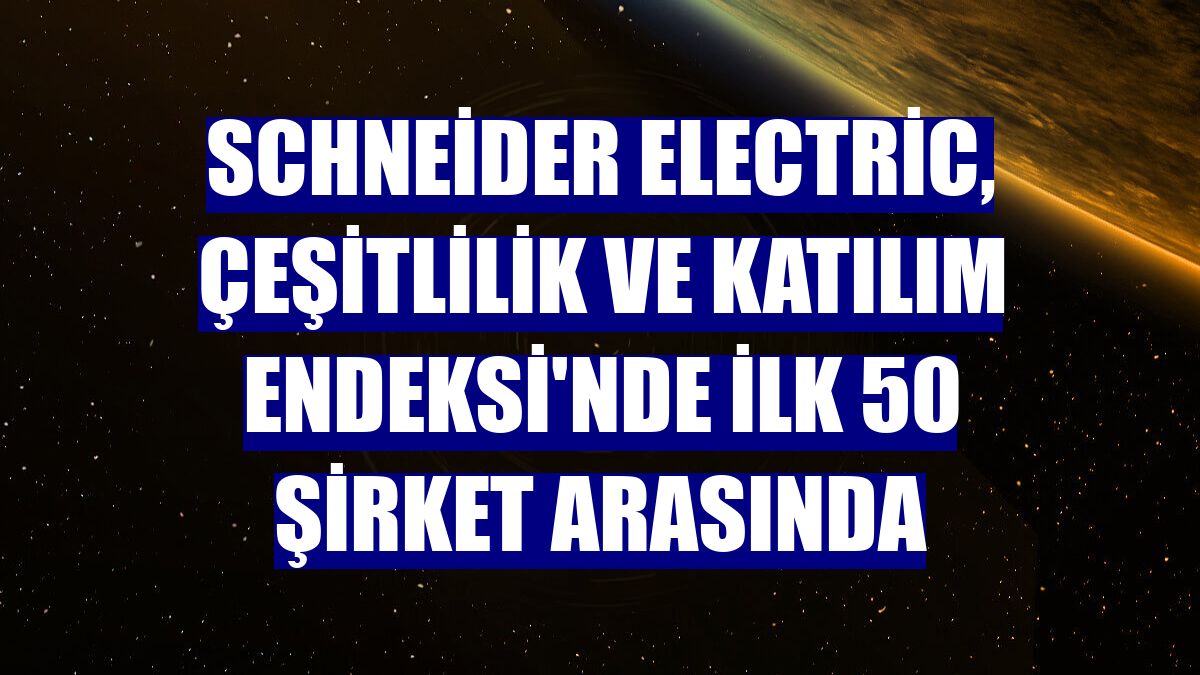 Schneider Electric, Çeşitlilik ve Katılım Endeksi'nde ilk 50 şirket arasında